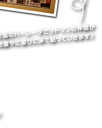 全国のハーレーダビッドソンの仲間が
地雷やに遊びに来て貼っていきます♪