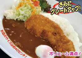 カツカレー さらにグレードアップ！お皿のサイズは約40ｃｍ！ボリューム満点！